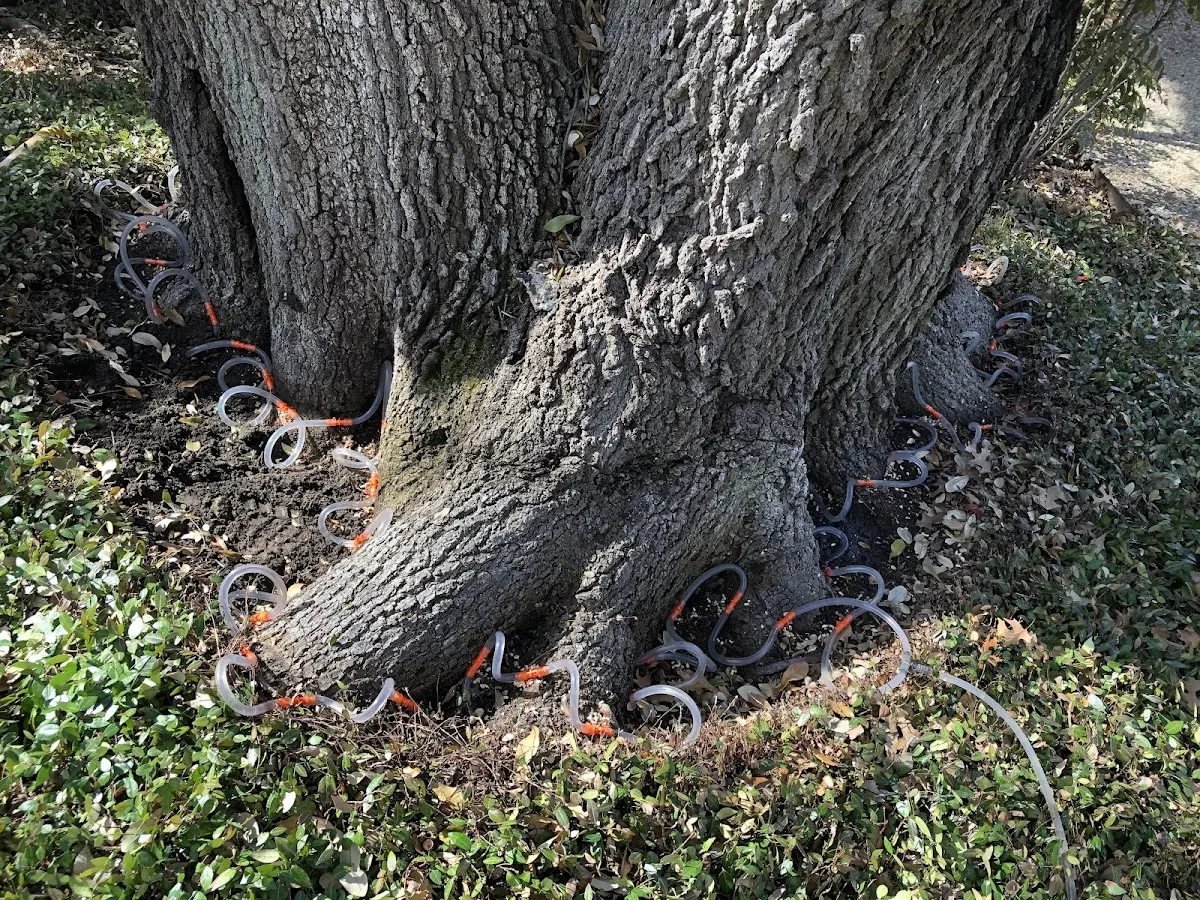 Detailed Shrub and Hedge Trimming job site in Badger